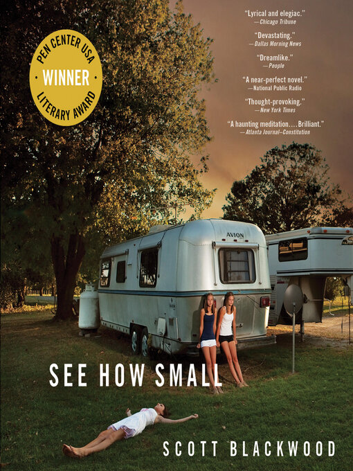 Cover image for See How Small